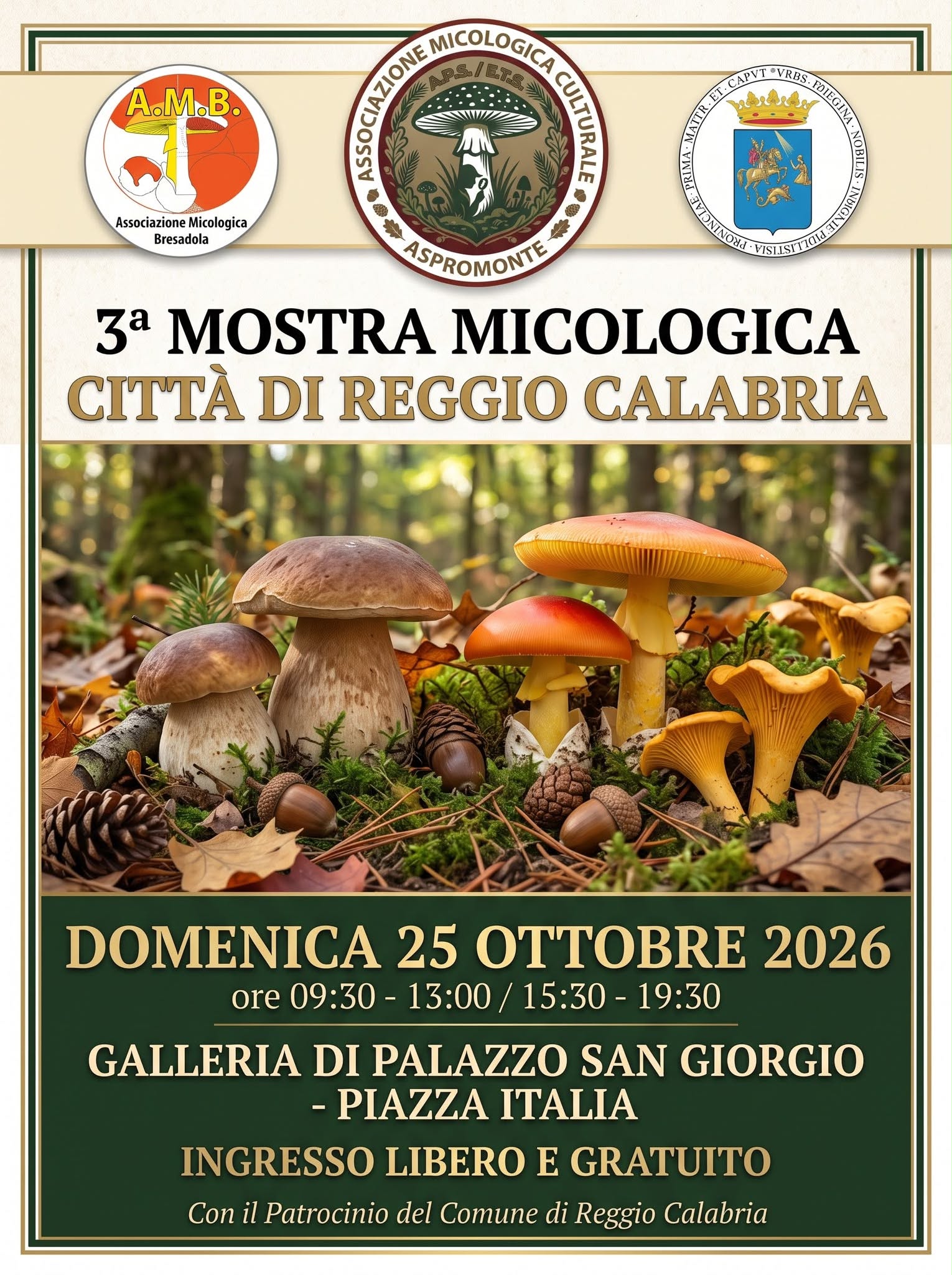 mostra funghi
