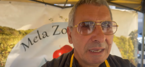 nino cento