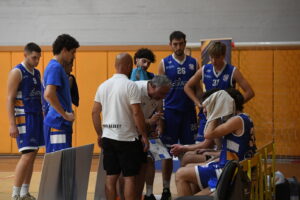 nova basket