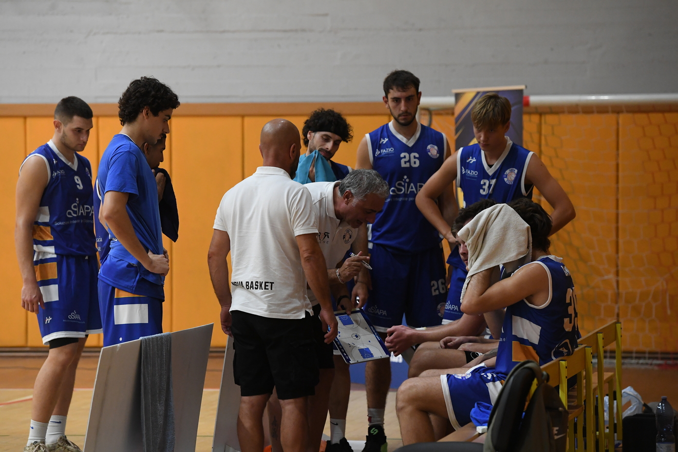 nova basket