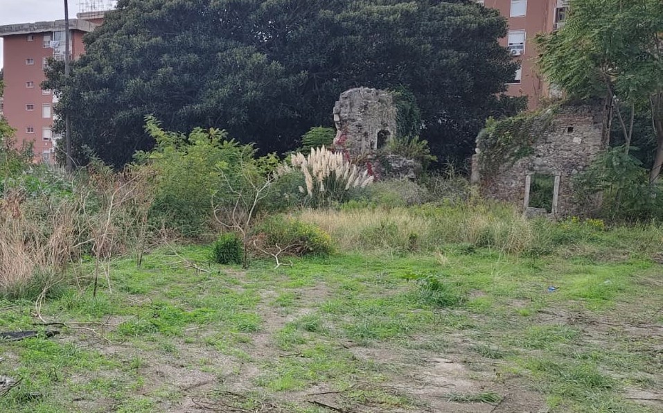 parco magnolia ripulita