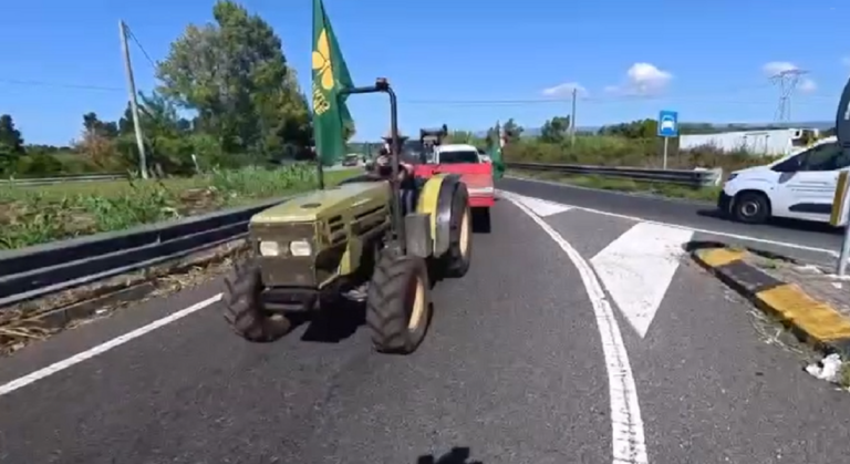 Rosarno, protesta di autotrasportatori e agricoltori: corteo sulla Jonio-Tirreno e disagi alla viabilità | VIDEO