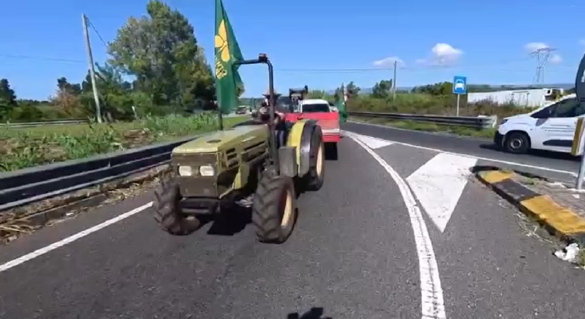protesta agricoltura