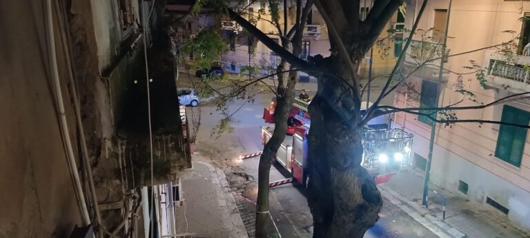 ramo pericolante reggio calabria