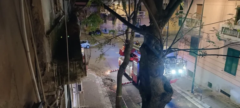 Reggio Calabria, il maltempo non dà tregua: grosso ramo pericolante in via Galileo Ferraris, intervengono i Vigili del Fuoco | FOTO E VIDEO