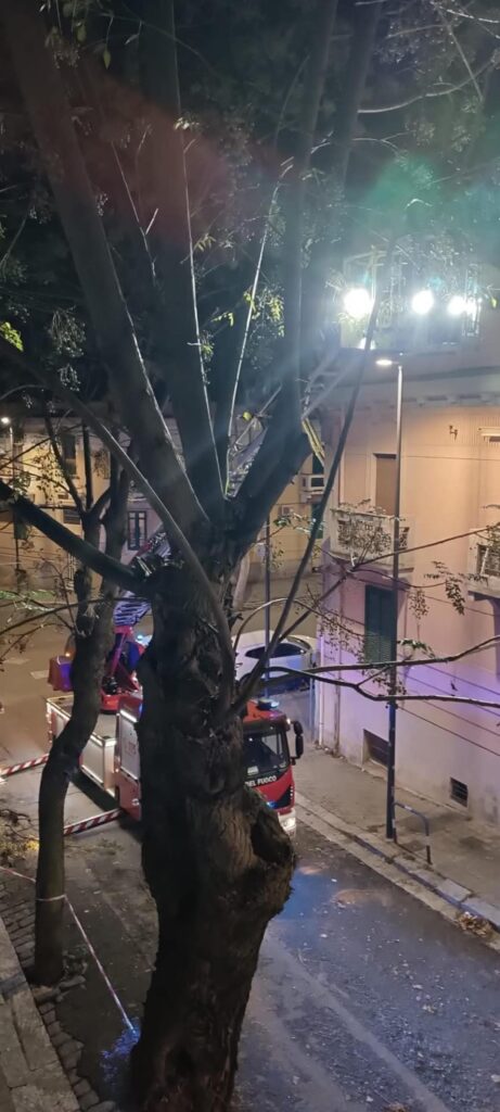 ramo pericolante reggio calabria