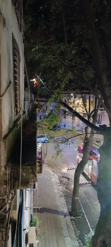 ramo pericolante reggio calabria